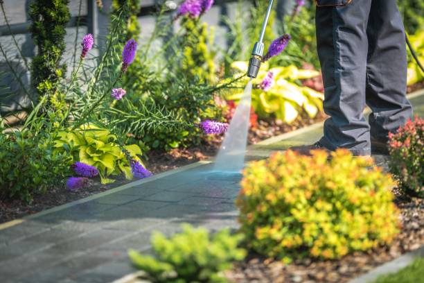 Reliable Balmville, NY Pressure Washing Services Solutions